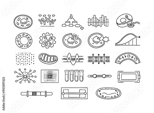 Line vector icons of cellular-scale medical twin models: single-cell response tile, receptor cluster diagram, signal pathway
