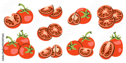 Set of Fresh Red Tomato Slices, Halves and Whole Vegetables vector illustration