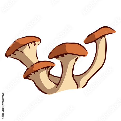 Orange mushrooms illustration