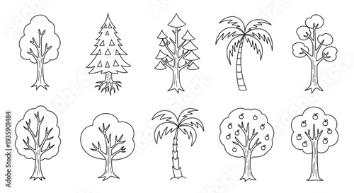 Collection of Hand Drawn Tree Illustrations.