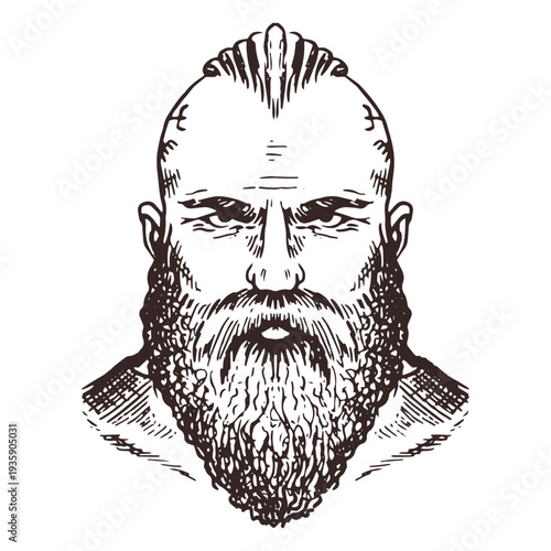 Viking nordic warrior people