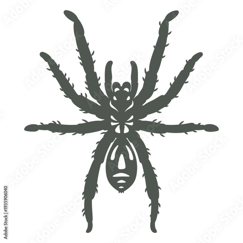 Dark image of a tarantula