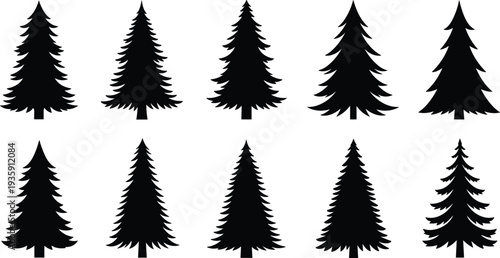 Pine Tree Silhouette Collection Evergreen Forest Fir and Spruce Tree Vector Set Isolated
