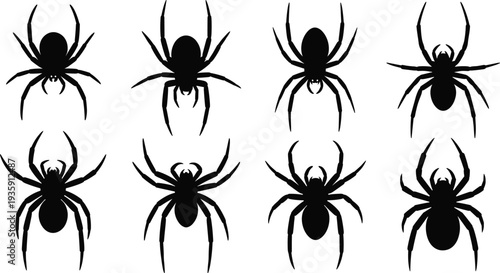 Spider Silhouette Set Creepy Arachnid Insect Collection Halloween Horror Vector Icons Isolated on White Background