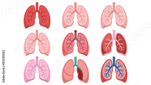 Human Lungs Vector Illustration Set Isolated on White Background with Different Colors