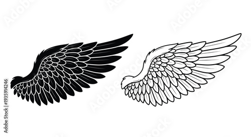 A pair of stylized wings one black and one white presented in a graphic design