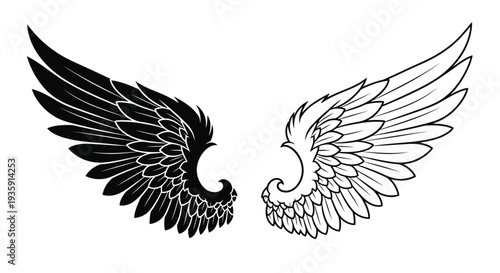 Contrasting wings one black one white symbolizing duality and flight
