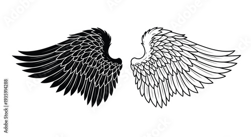 A pair of contrasting wings one black and one white facing opposite directions