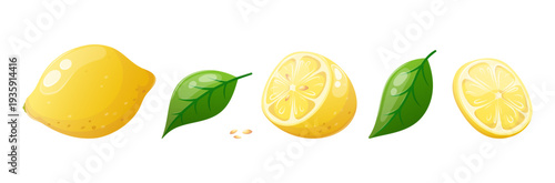 Vector set of lemon, sliced into wedges, and leaves