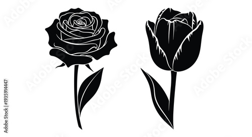 Black silhouettes of a rose and a tulip against a white background