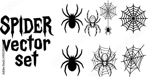 Spider Arachnid Spider-Web Spider-Silhouette Tarantula Web-Spider Spider-Insect Halloween-Spider Black-Widow Spider-Creature Vector Set - Spider Arachnid