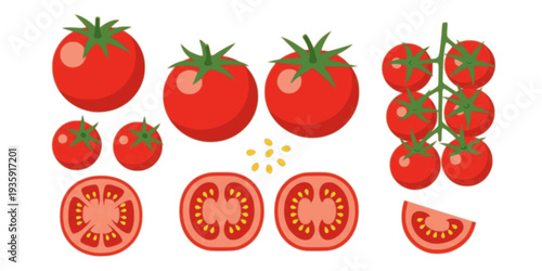 Fresh red tomatoes collection with whole sliced and cherry tomato vegetables flat vector illustration isolated
