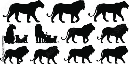 Lion silhouette vector, wildlife animal illustration, lion family icon set, safari design element, predator graphic, jungle nature silhouette collection