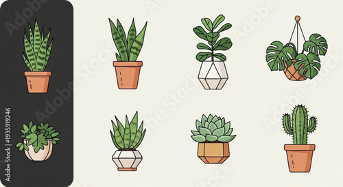 Collection of potted houseplants and succulents in various containers.