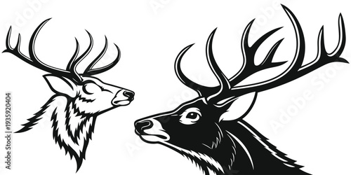 Two deer with large antlers facing each other in a black and white illustration
