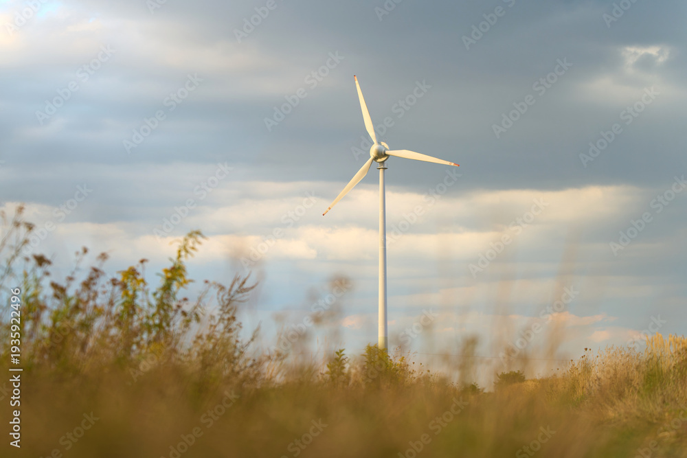 Fototapeta premium Sustainable electricity production in natural environment