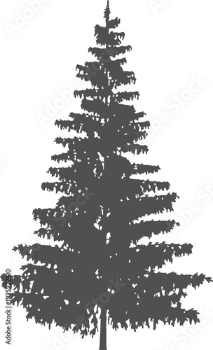 Fir black icon. Forest tree. Evergreen plant