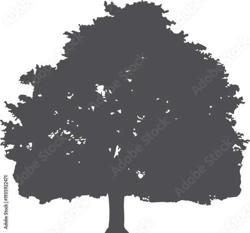 Park tree black silhouette. Nature landscape element