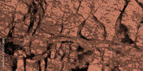 Detailed Close-up Of A Rough Textured Rock Surface In Earthy Brown Tones With Cracks And Pits vector