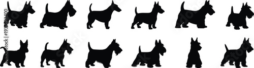 Dog, silhouette, Scottish, terrier, pet, animal, breed, canine, posture, collection, black, shape, figure, design, illustration, art, pattern, domestic, furry, companion