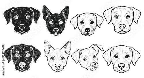 Collection of six illustrated dog portraits in black and white