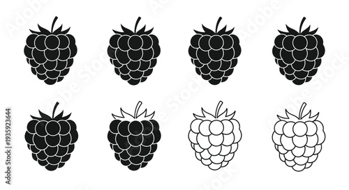 Black and white raspberry illustrations in various shapes and styles