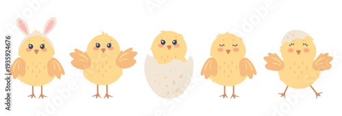 Set of little yellow chicks in various poses, jumping, fluttering, nesting in cracked egg and wearing bunny ears. Cute vector spring illustration of baby birds in a flat style on a white background.