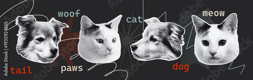 Creative halftone collage of dog and cat faces with playful words like woof, meow, tail, and paws. Modern graphic design with monochrome animal portraits and abstract grainy shapes 