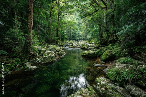 tranquil river winding through lush green forest