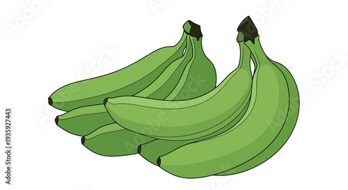 A vibrant illustration depicts a bunch of unripe green bananas