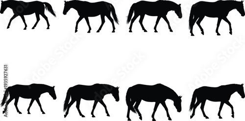 Collection of eight black horse silhouettes in various walking and grazing poses against a white background.