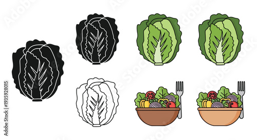 Illustrations of cabbage heads and vibrant salad bowls with vegetables