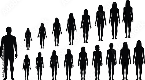 human body silhouette evolution chart, male and female growth stages, body size comparison, people height progression vector illustration