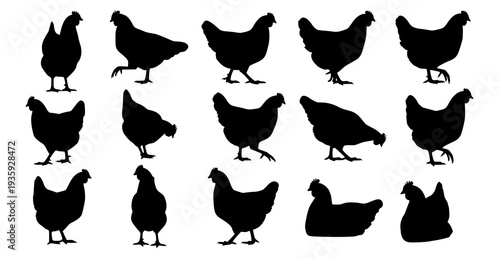 Set of Hen Silhouettes in Various Poses Isolated on White Background
