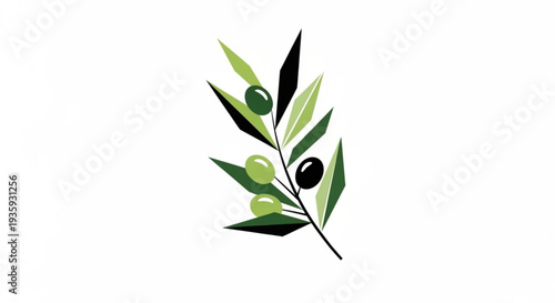 Olive branch with green and black olives on transparent background