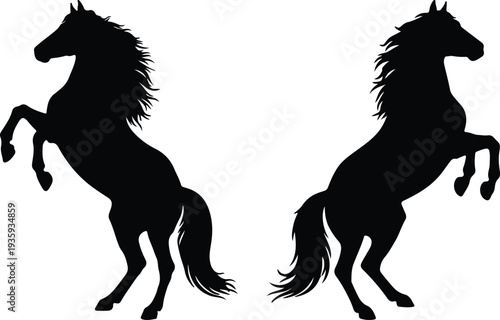 Two elegant black horse silhouettes rearing powerfully on their hind legs, presented in a mirrored composition, symbolizing balance, strength, and majestic equine beauty.