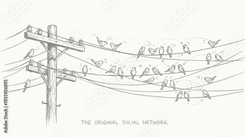 Avian Communication Perched on Wires A Whimsical Representation of a Social Network