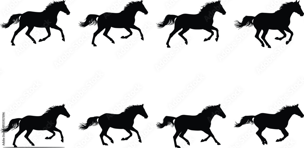 Obraz premium Dynamic vector illustration of eight black horse silhouettes in various running and galloping poses, isolated on white, symbolizing speed and power.