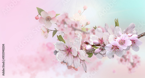 Tableau sur toile sfondo di primavera con germoglio