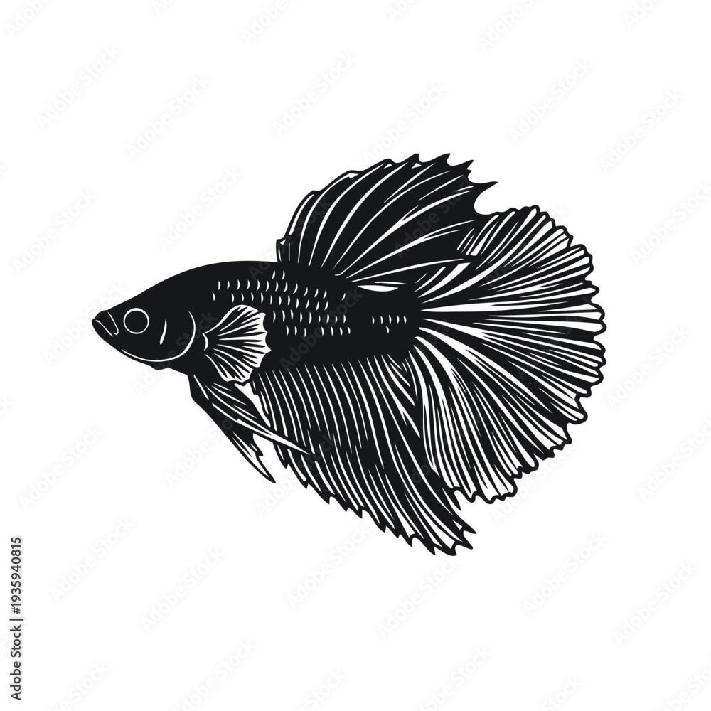 Fototapeta premium Siamese Fighting Fish Silhouette Vector - Betta Splendens Ornamental Fish Icon - Aquarium Pet Wildlife Graphic