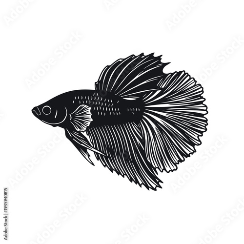 Siamese Fighting Fish Silhouette Vector - Betta Splendens Ornamental Fish Icon - Aquarium Pet Wildlife Graphic