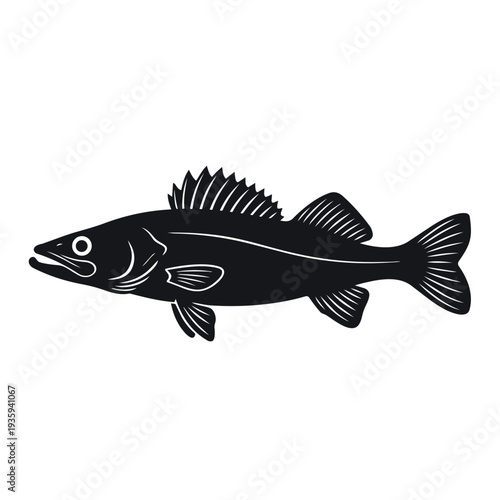 Walleye Fish Silhouette Vector Illustration - Freshwater Sander Vitreus Game Fish Icon - Percidae Wildlife Graphic