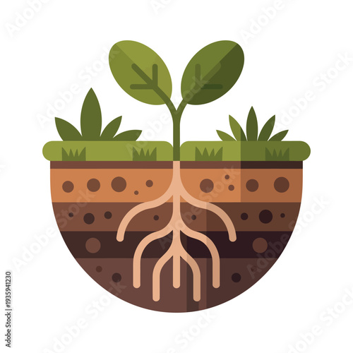 Plant seedling grows above rich brown soil cross-section revealing healthy root structure.