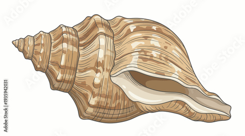 vector snail on a white background