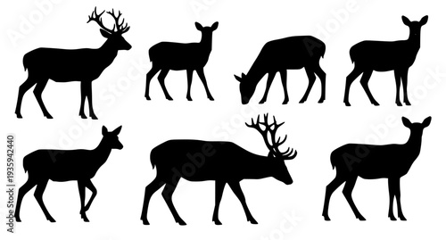 Wild deer silhouette vector set flat wildlife illustration EPS 10