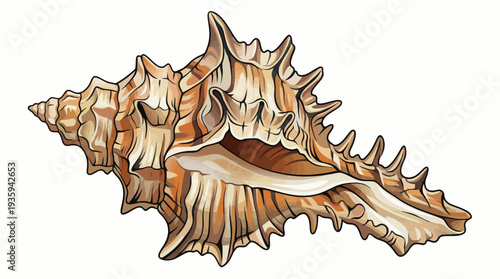 vector snail on a white background