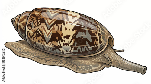 vector snail on a white background