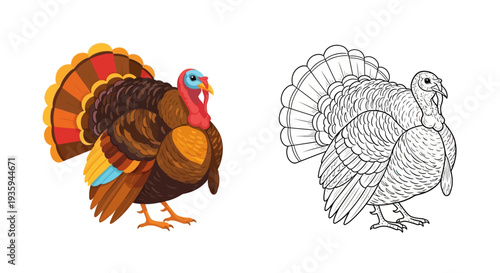 A colorful turkey and its black and white outline illustration