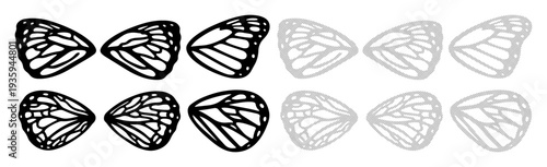 Detailed black and white butterfly wing patterns arranged in rows for study or design.