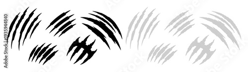Sharp claw marks on a white background, symbolizing danger or wildness.